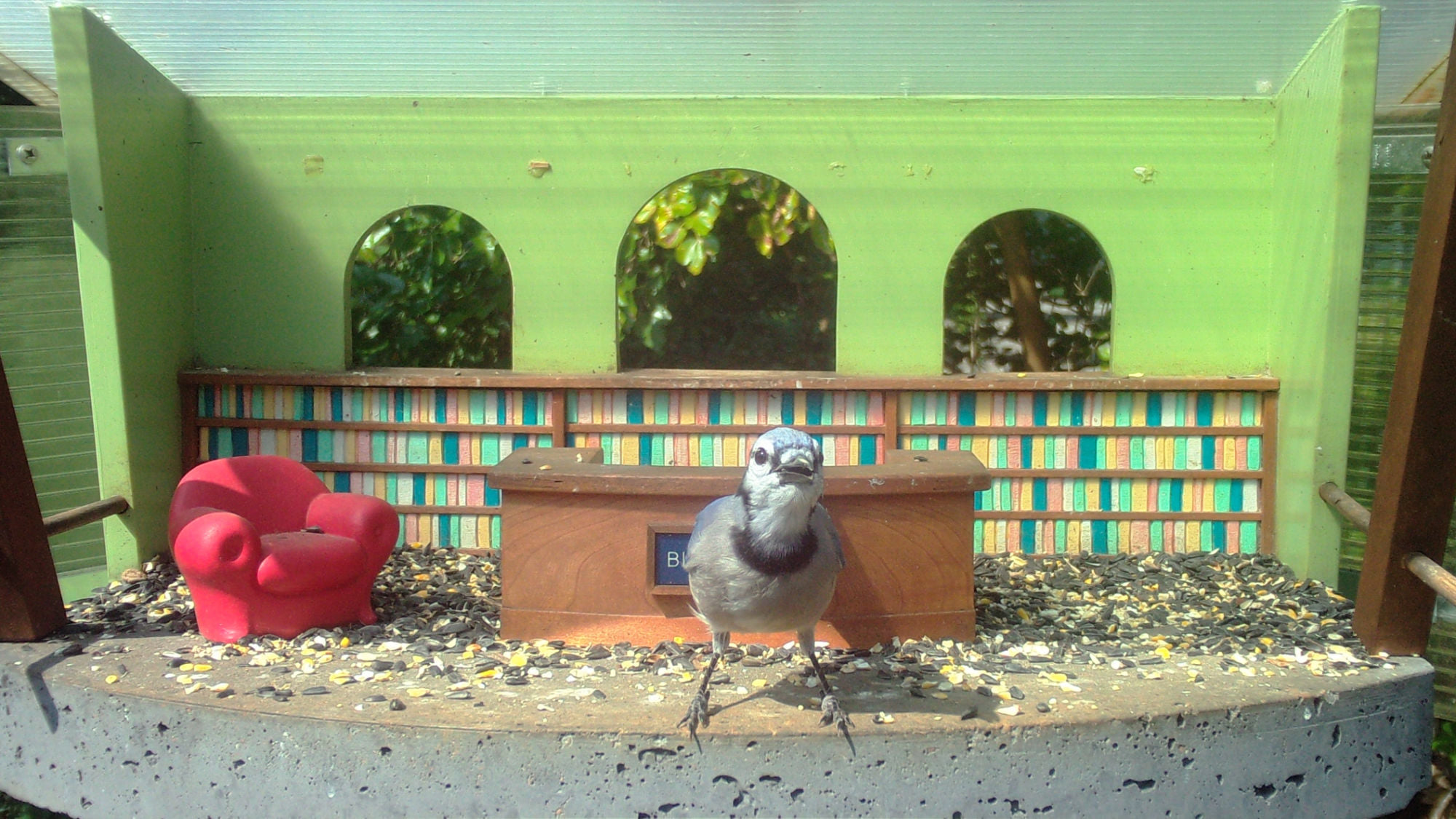 Bird Library