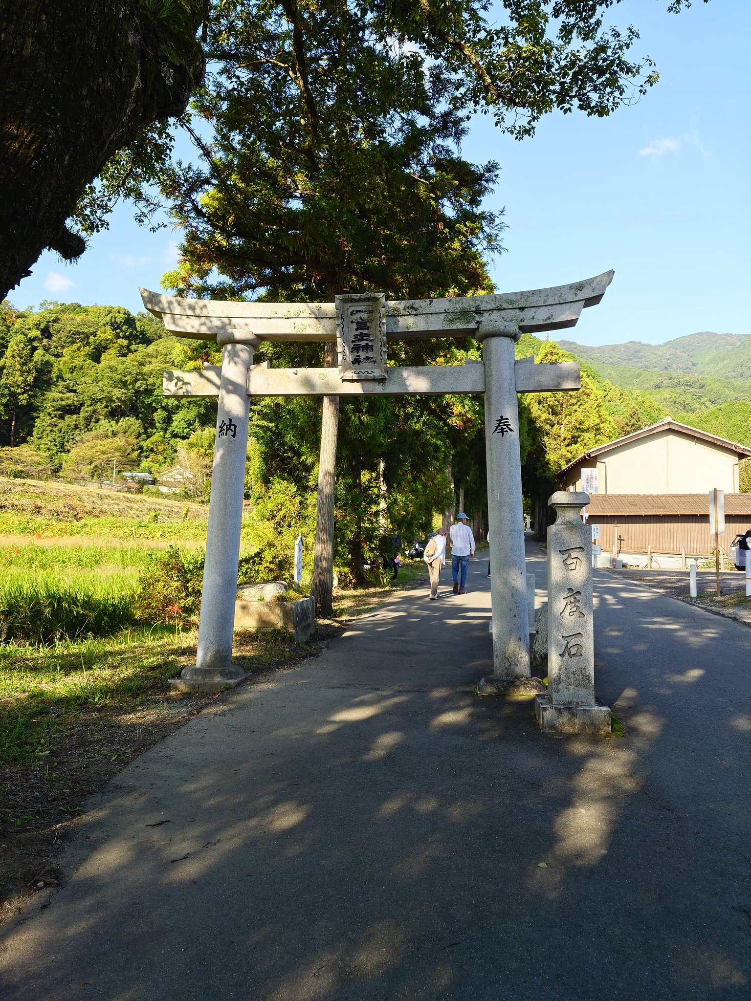 Mydoso 【超希少】薬師寺再建用 千年釘 白鷹幸伯 作 古代木造寺社建築に用いられた「鉄くぎ」** 現存最古の飛鳥時代の