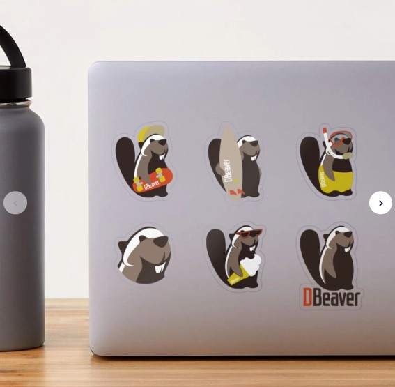 DBeaver - We as a team wear DBeaver merch all the time,...