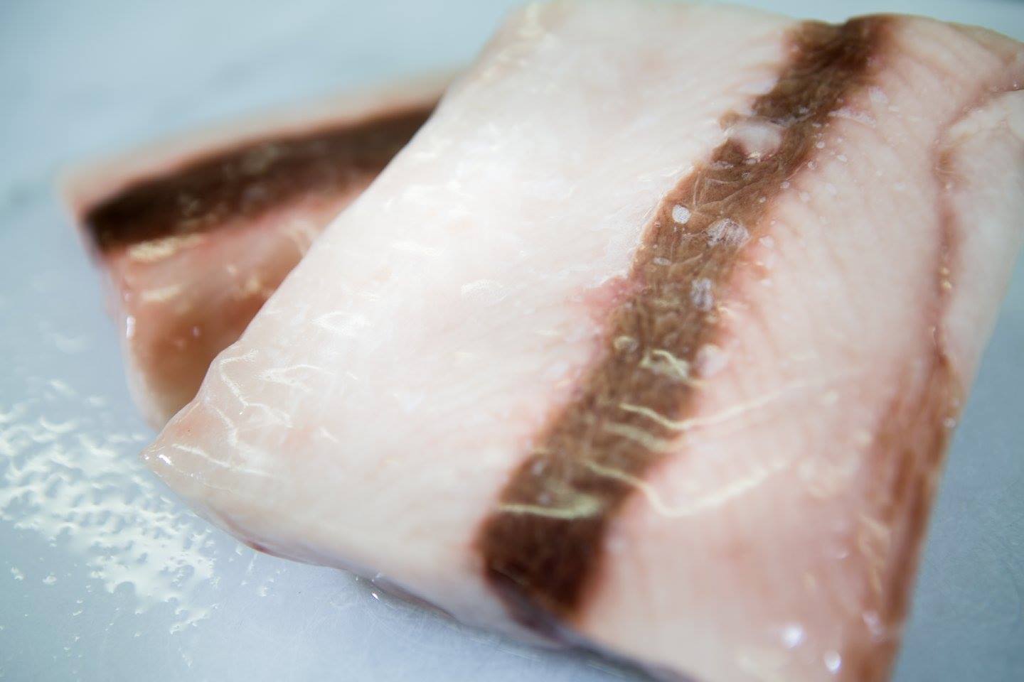 Colán Fish. Seafood Export | Paita