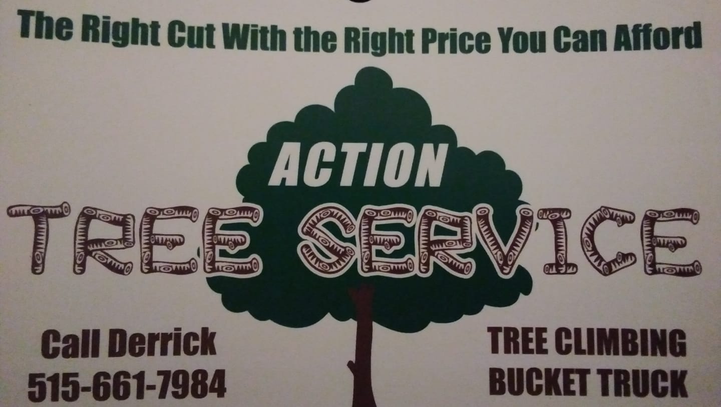 Action Tree Service | Des Moines IA