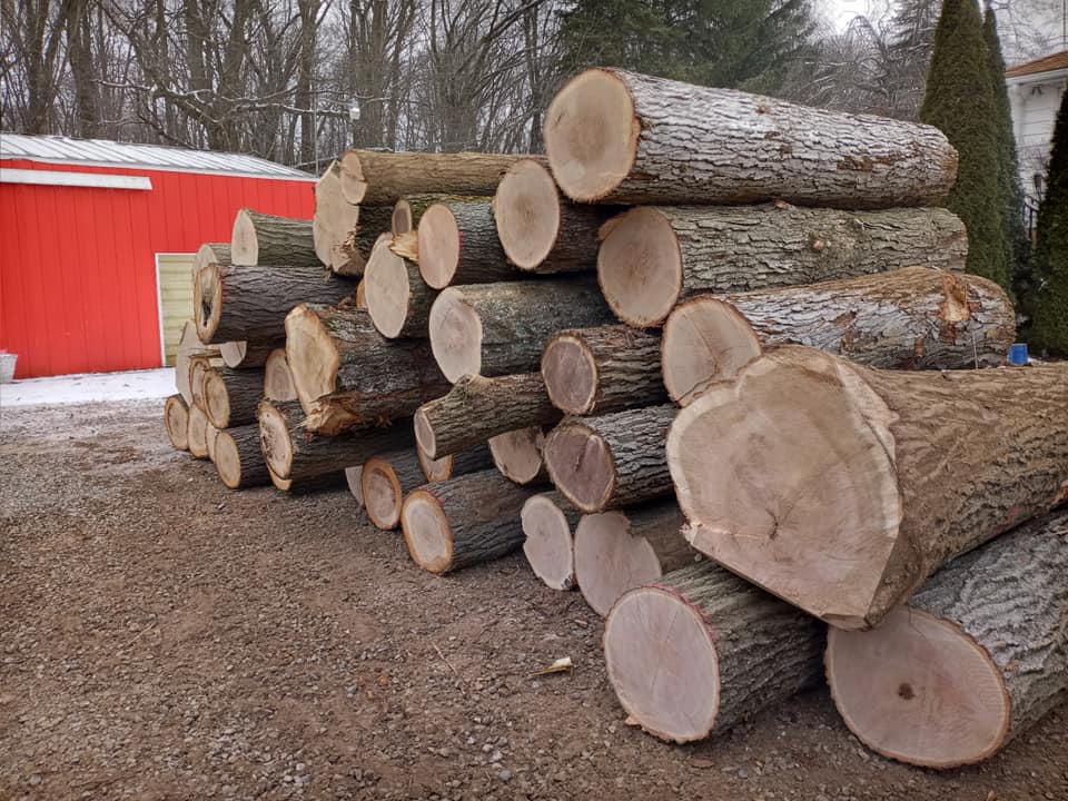 Cook's Logging Firewood and Tree Removal | Vestaburg MI