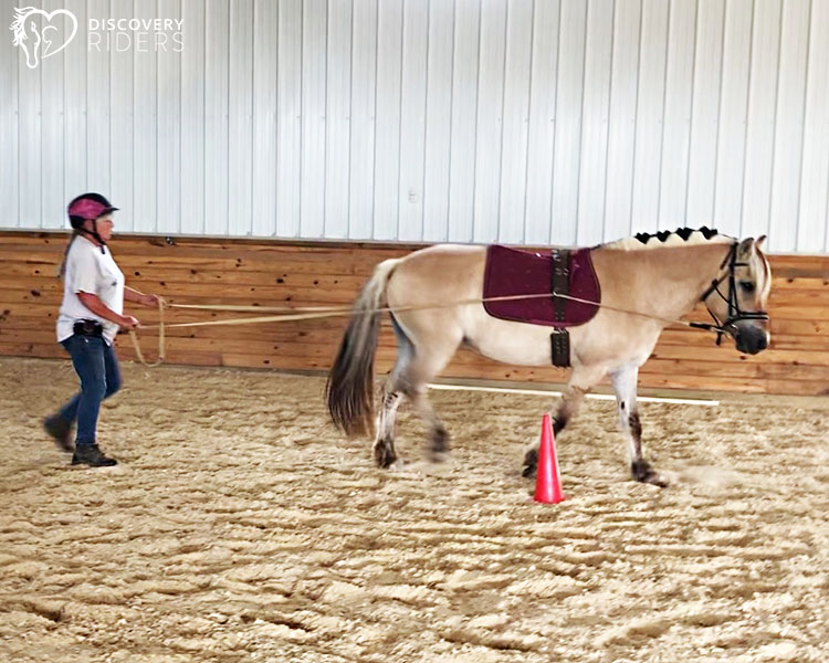 Did you know we provide ground... - Discovery Riders Inc. | Facebook