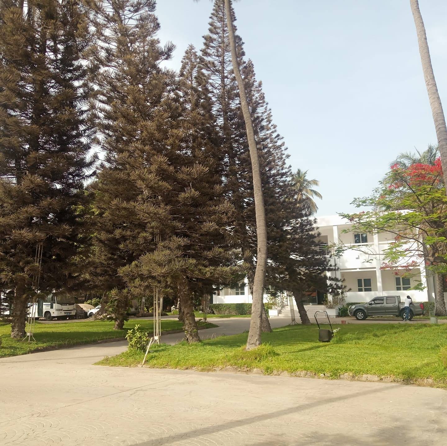 Maison De La Culture Douta SECK