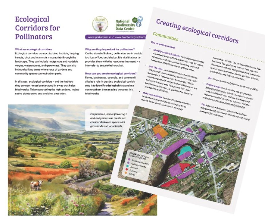 Louth - Did you know that ecological corridors play a vital role in ...