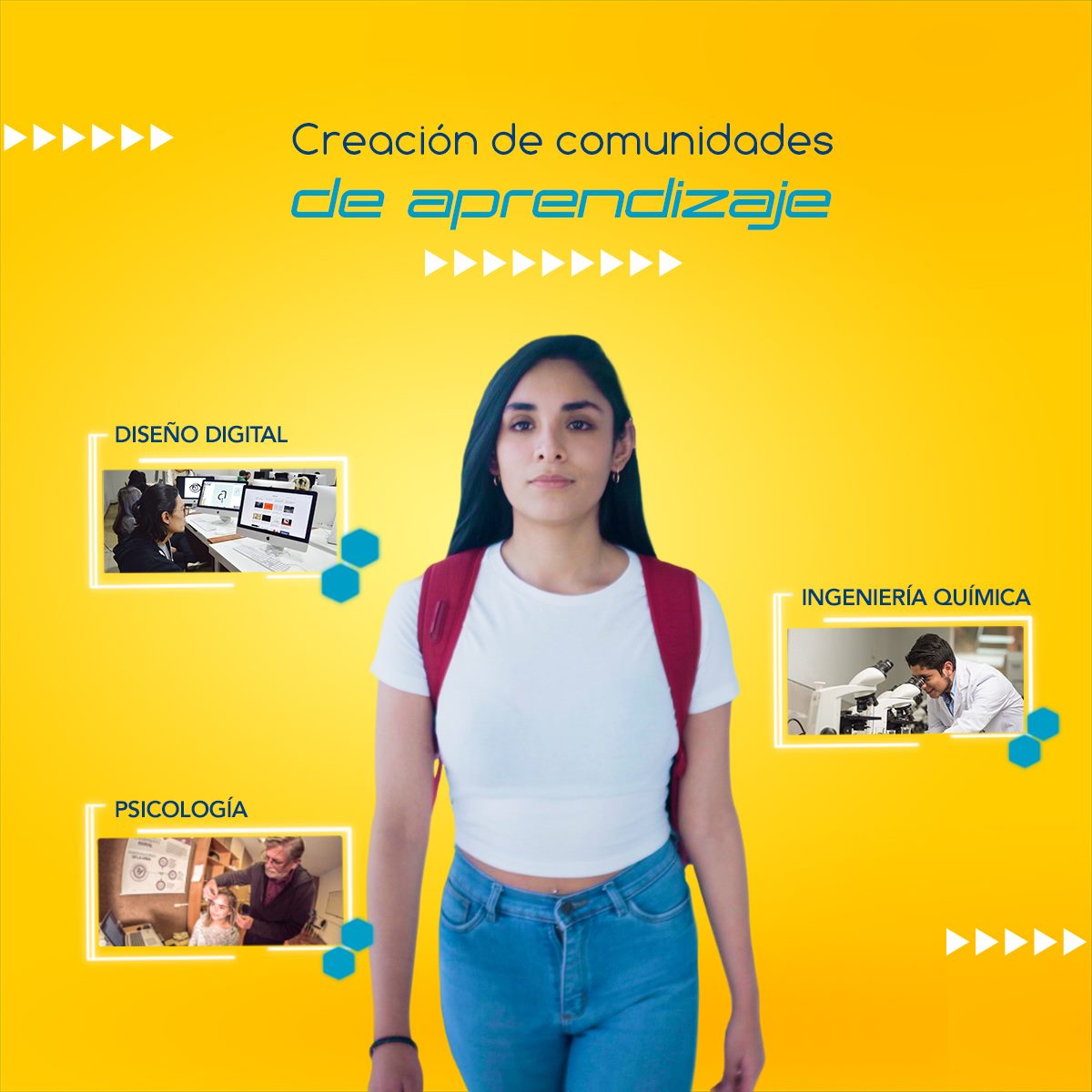 La Cato cuenta con el mejor “Ecosistema de Aprendizaje Virtual”, el ...