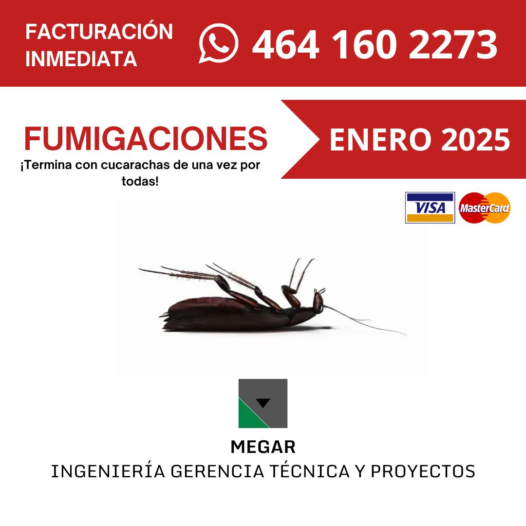 MEGAR Ingeniería Gerencia Técnica y Proyectos