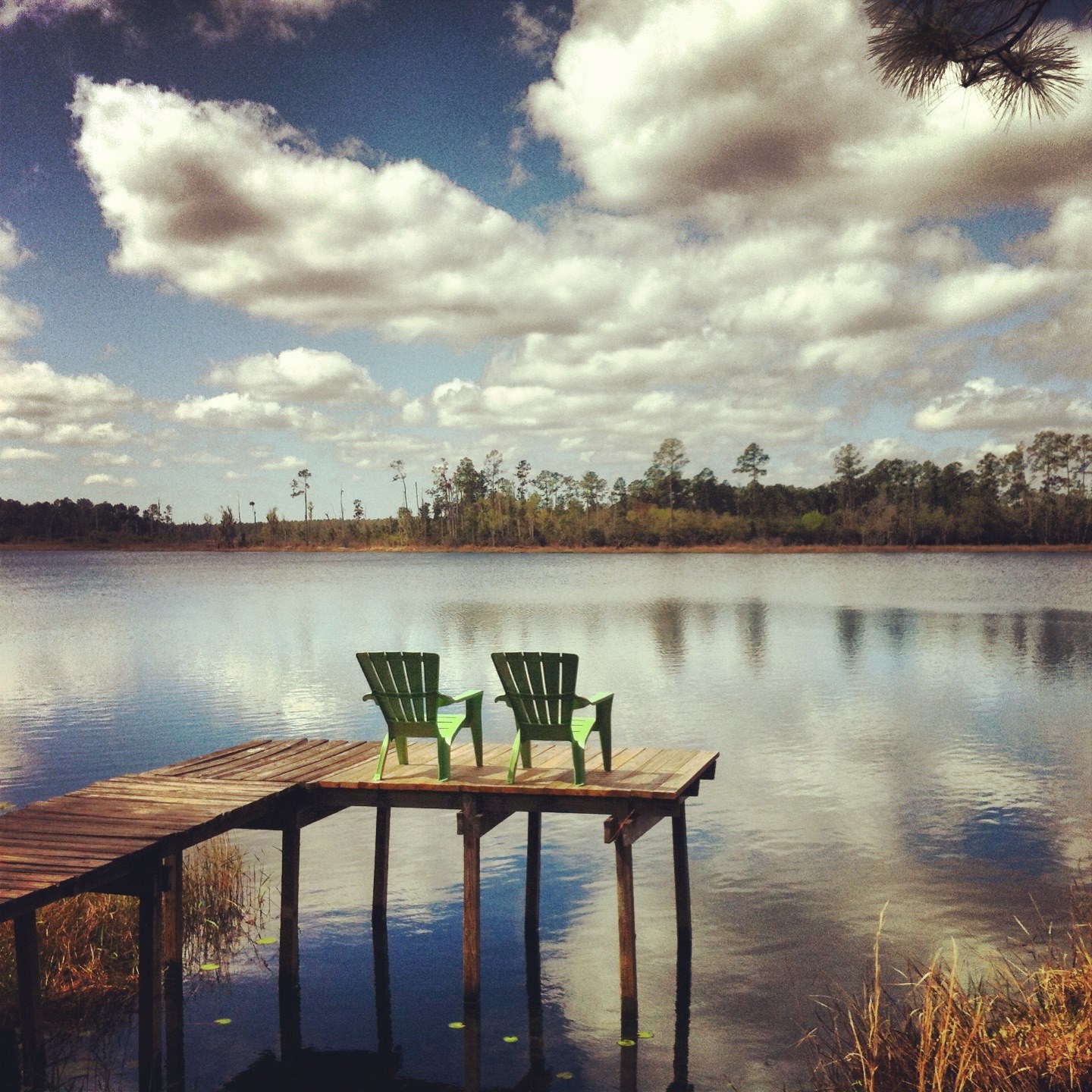 Grasshopper Lodge | Astor FL