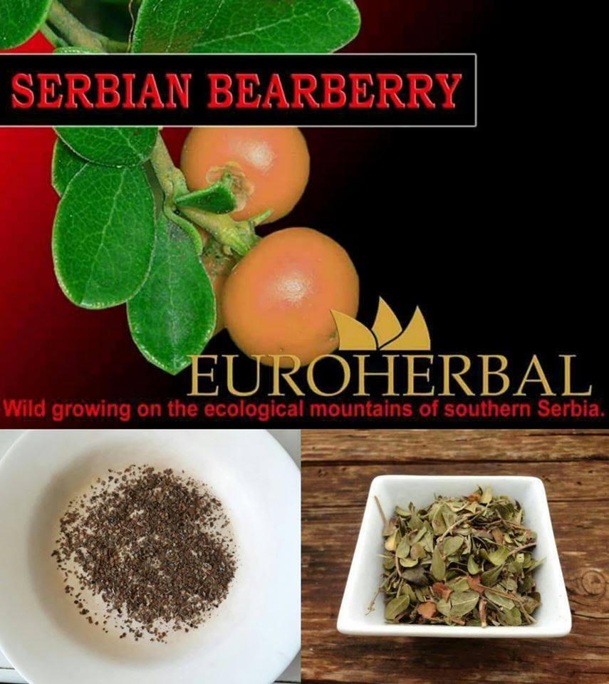 Euroherbal Uva Tea - Cabanatuan City, Nueva Ecija - EUROHERBAL UVA ...
