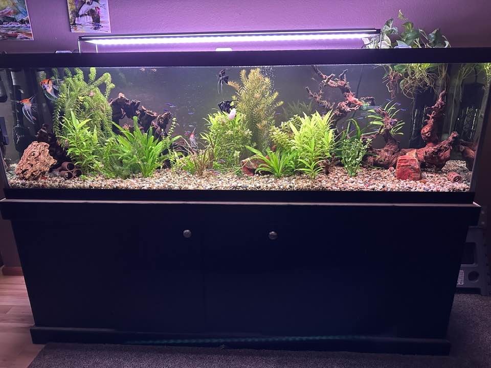125 gallon fish tank accessories TRUVU 125L And Stand Combo designed specifically for 125 Discover 46 125 Gallon aquarium