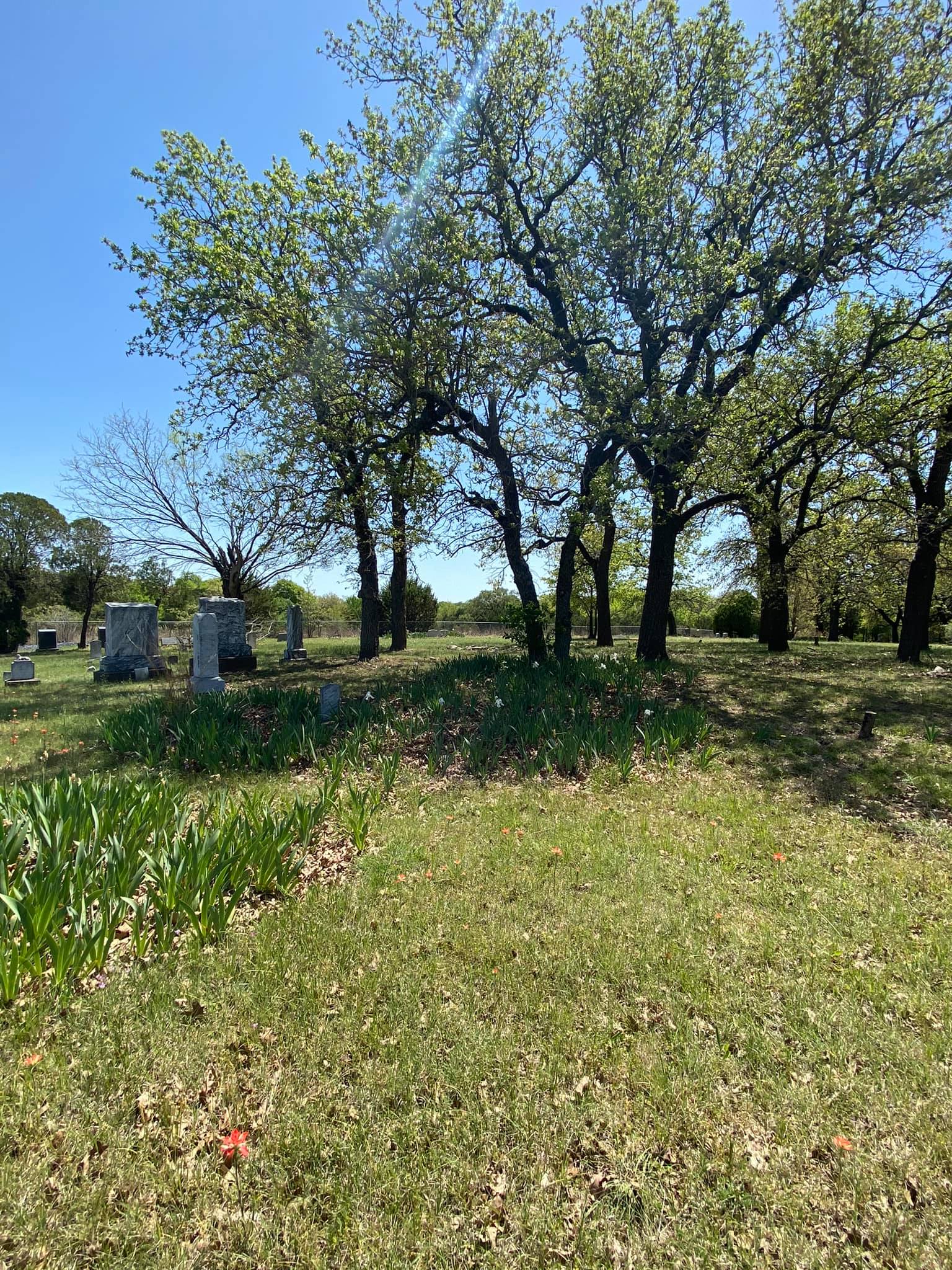 Thorp Spring Cemetery Association | Granbury TX