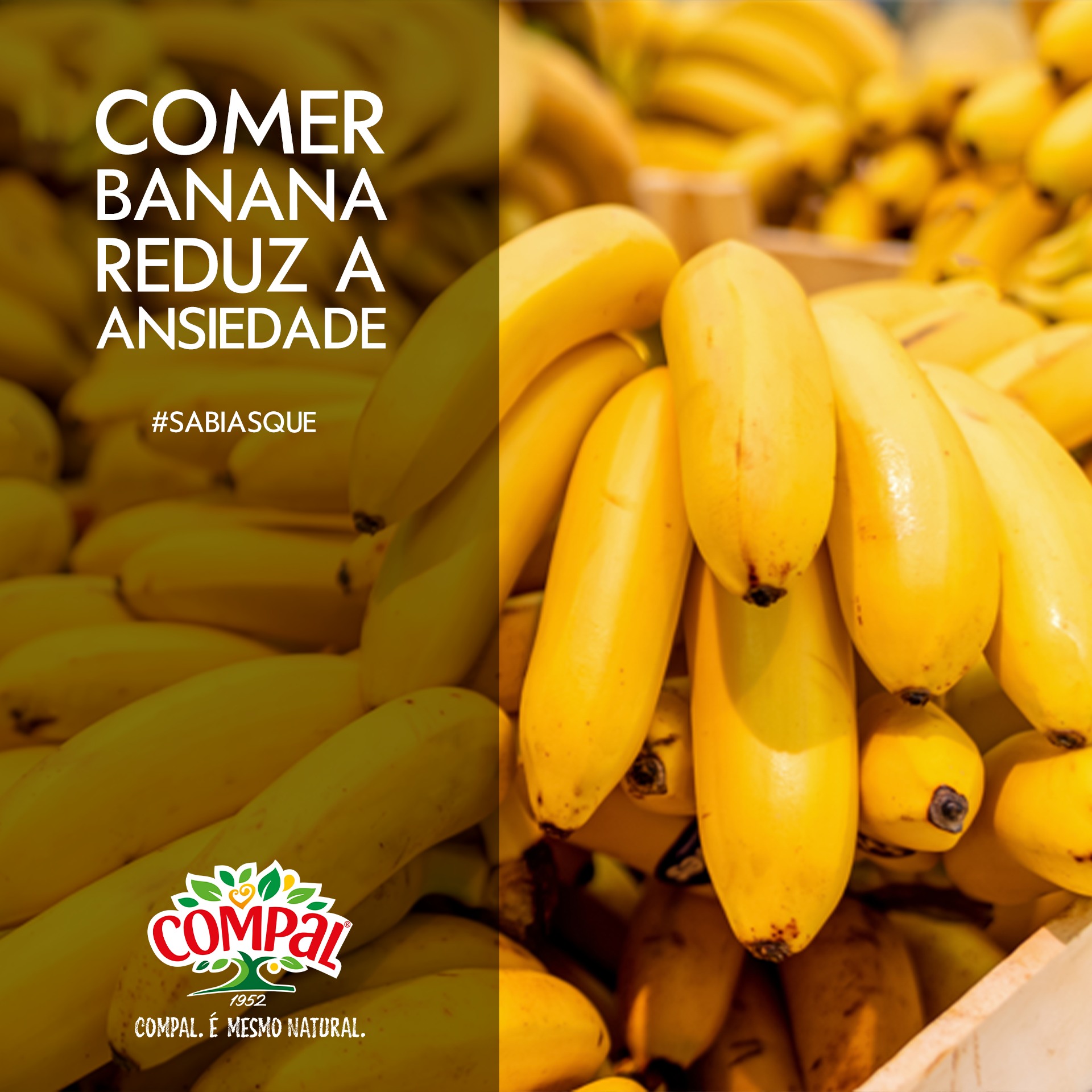 Compal Moçambique - A Banana é das frutas mais nutritivas que existe no ...