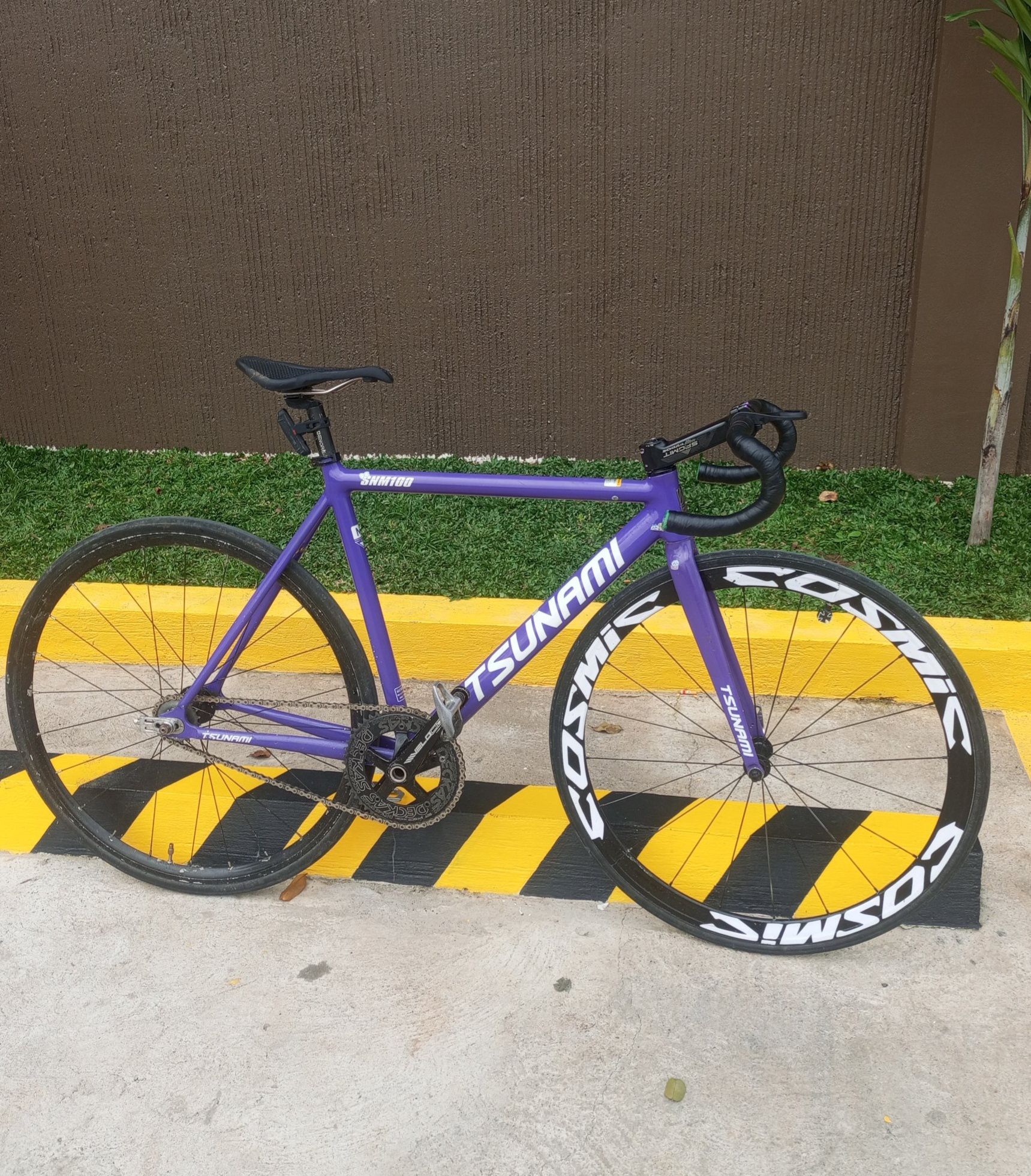 Fs to fs sa brain x Alphina Quick spec's Tsunami v2 frame Tsunami