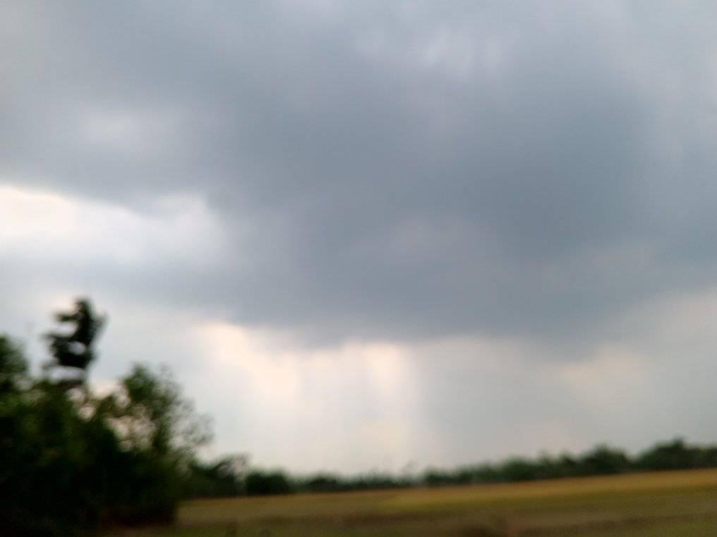 Aaj Tum gaon mein kam kar rahe rasta sab kar raha hoon jungle # ...