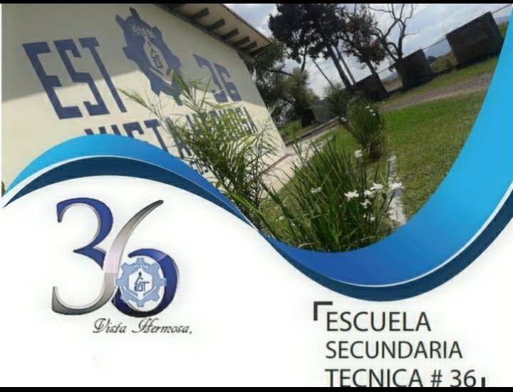 337329_9 337329_9