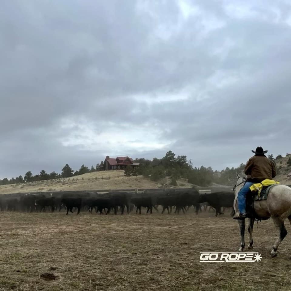 Knee Deep Cattle Company