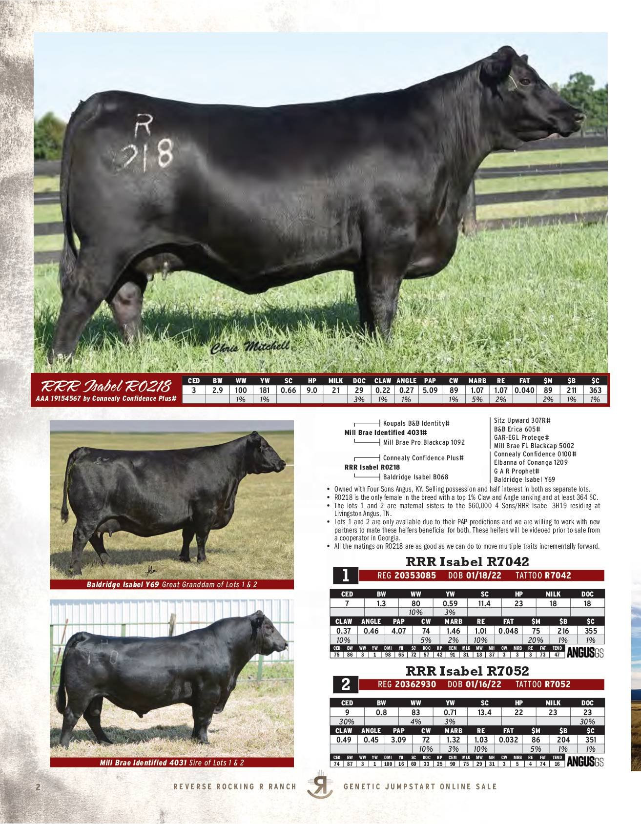 RRR Isabel R0218 is a next level... - Reverse Rocking R Ranch | Facebook