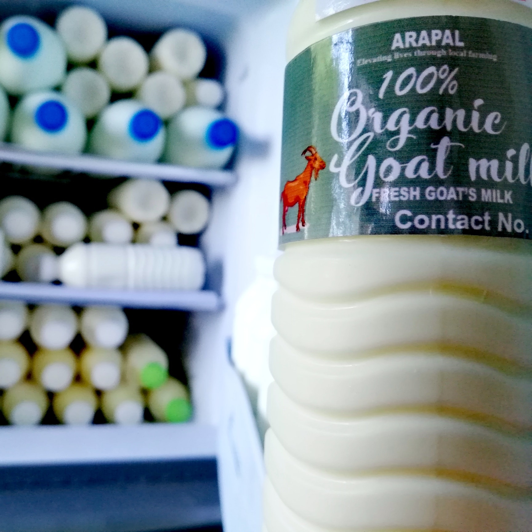 Goat's MILK sa Arapal updated... - Goat's MILK sa Arapal
