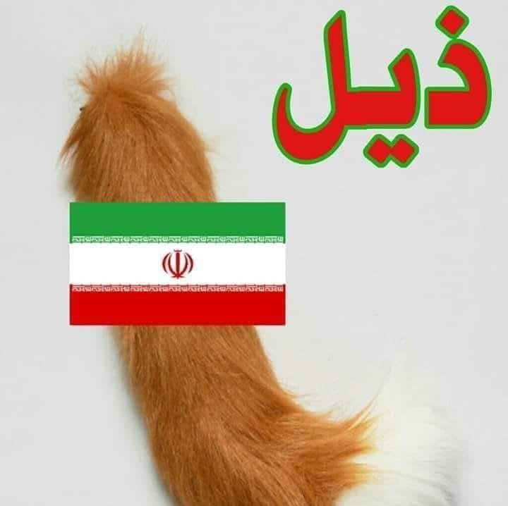 ذيل
