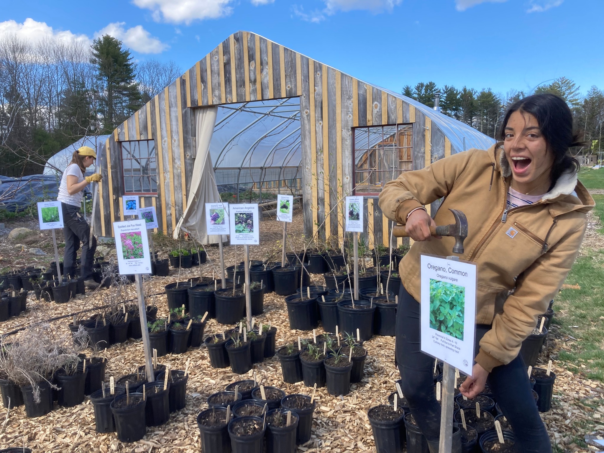 Frith Farm - The Frith Plant Sale is back! We've been hard... | Facebook