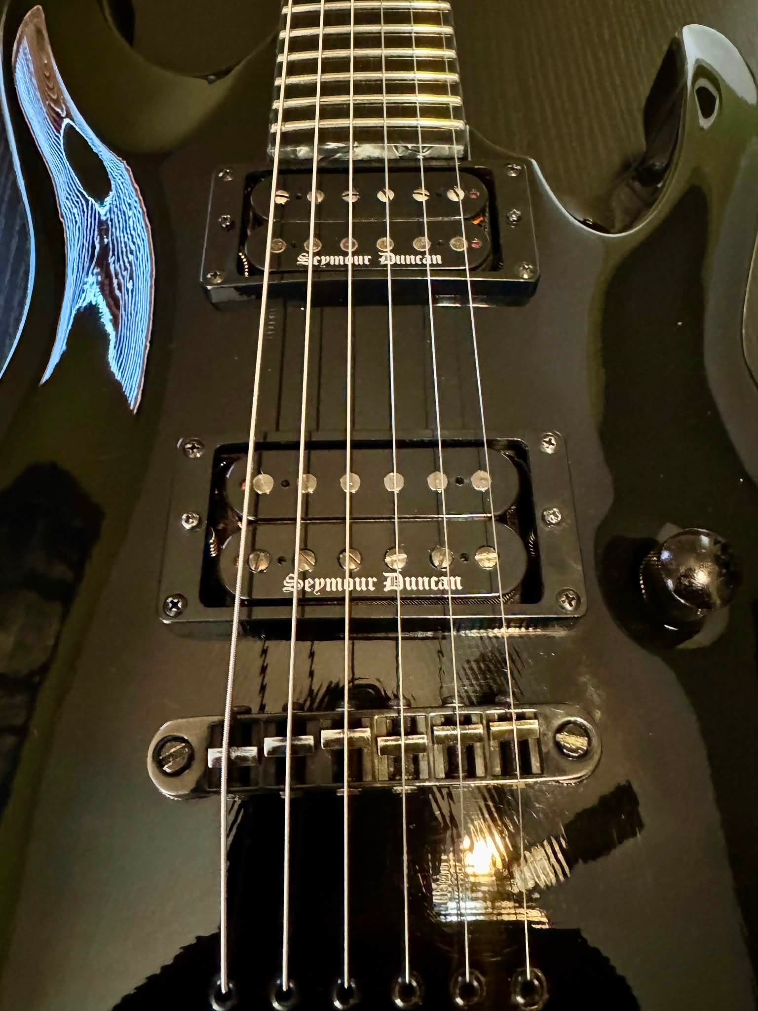 NGD: ESP Edwards E-HR-135NT