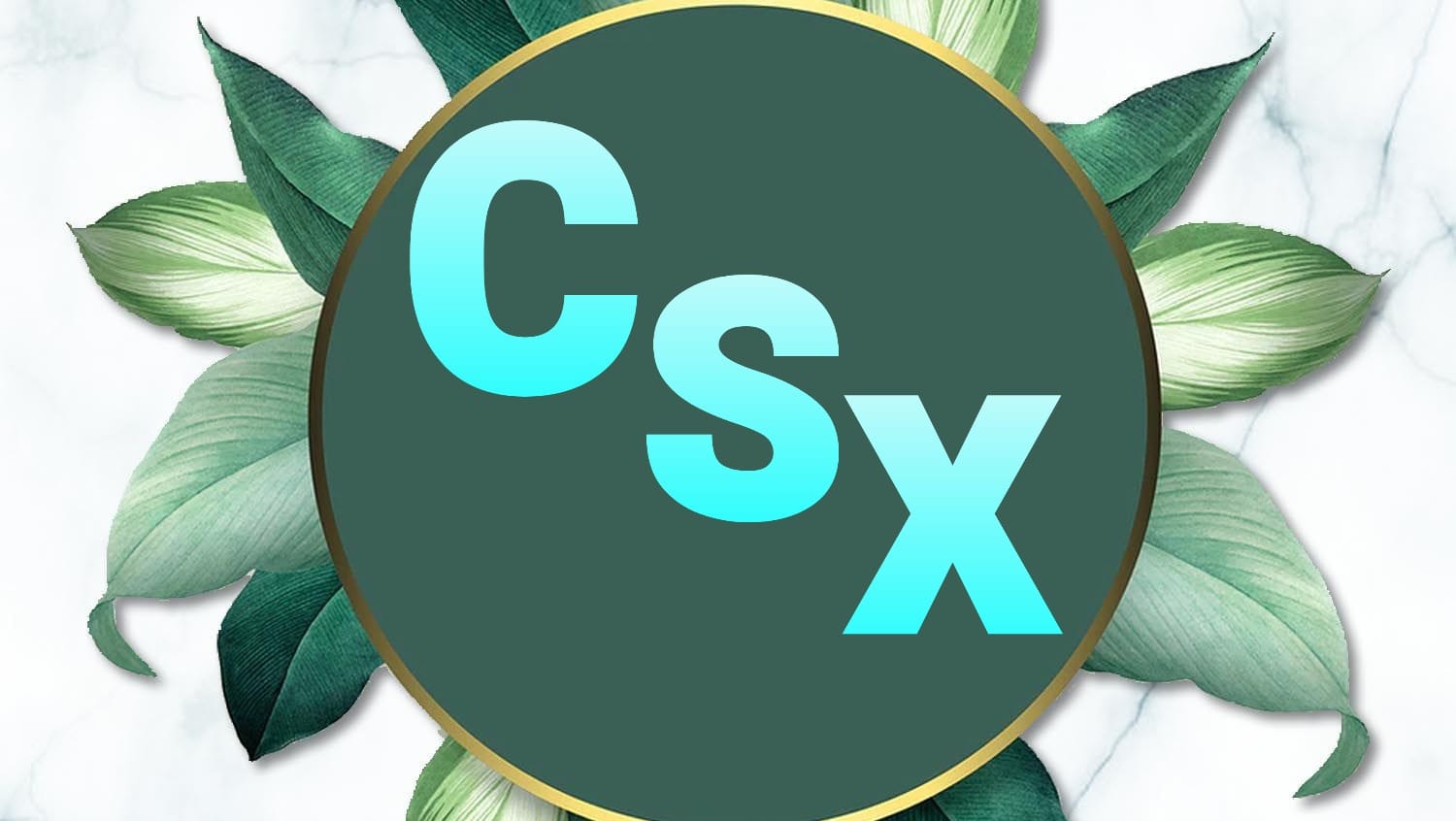 CSX Foods