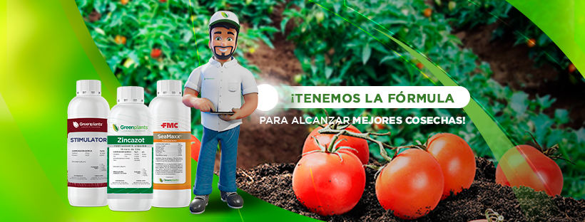 Agro Pro - 👀 Aplicación comercial de nuestro insecticida Target 24 SC ...