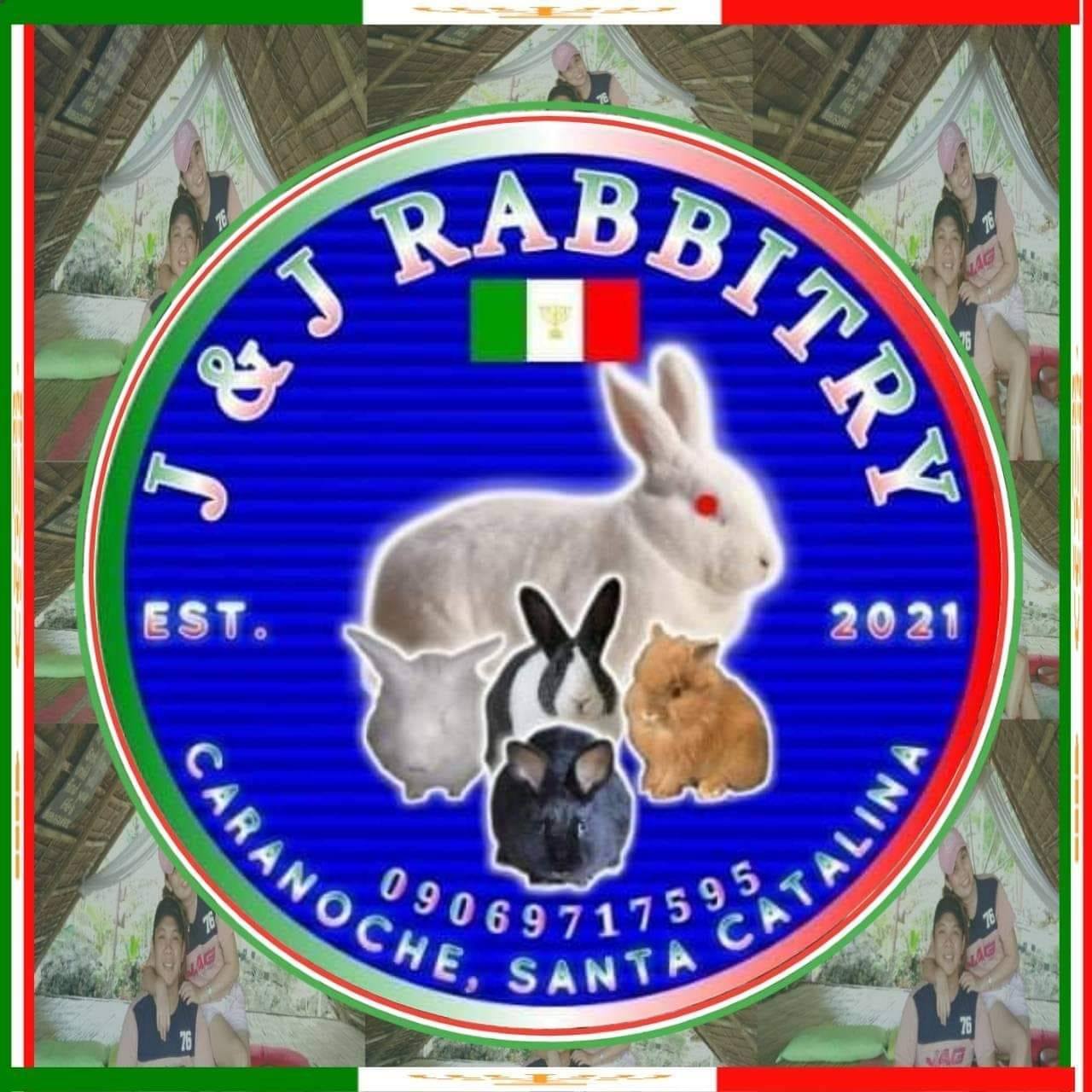 J&J Rabbitry | Bayawan