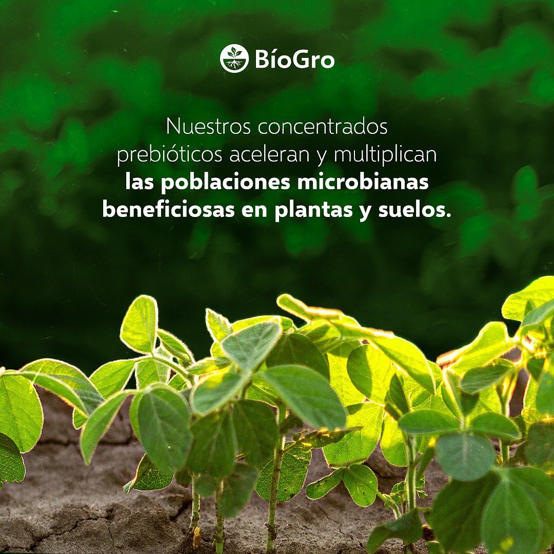 BioGro - La ventaja de tener un suelo sano facilita las... | Facebook