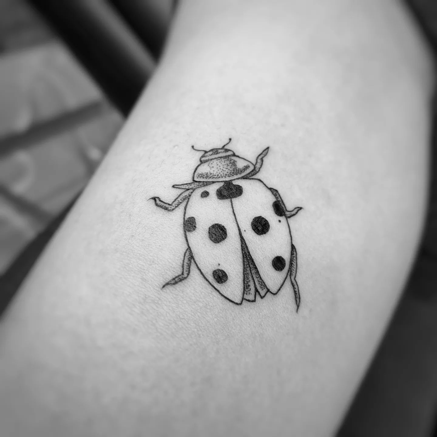 Tatouage Coccinelle Noir Et Blanc