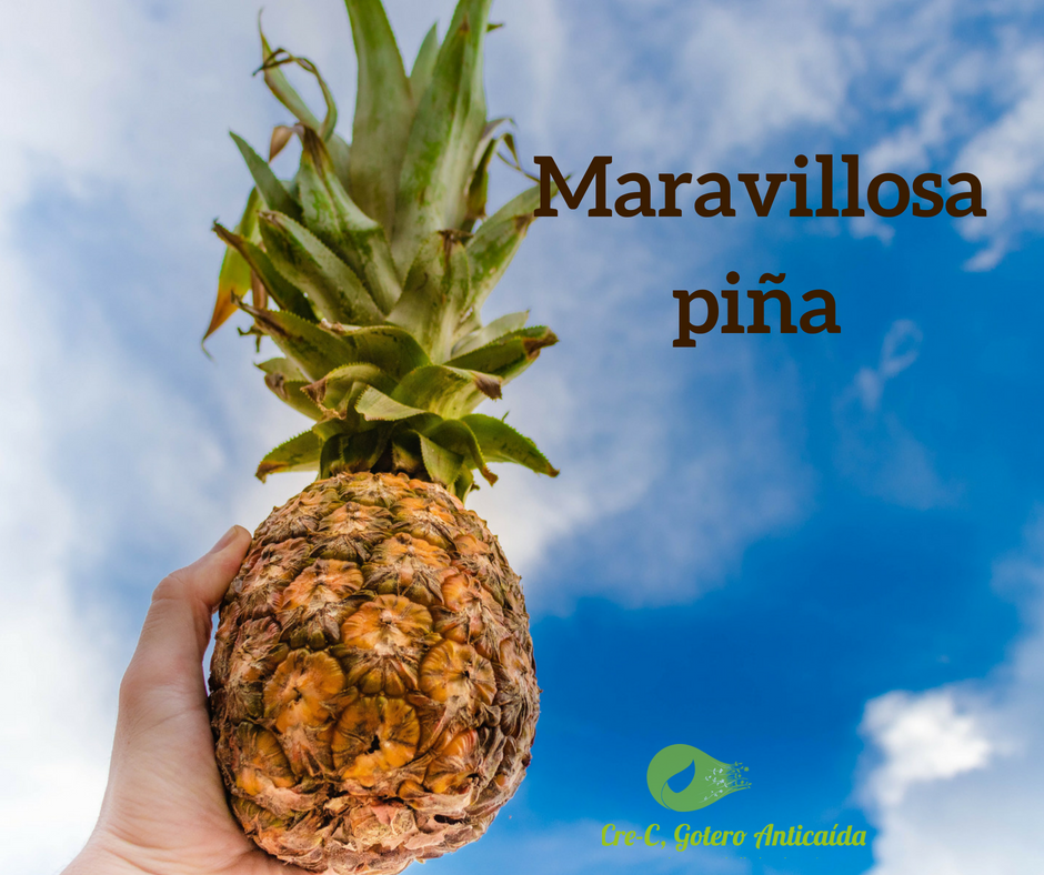 La piña tiene alta concentración... - Cre-C, gotero anticaída