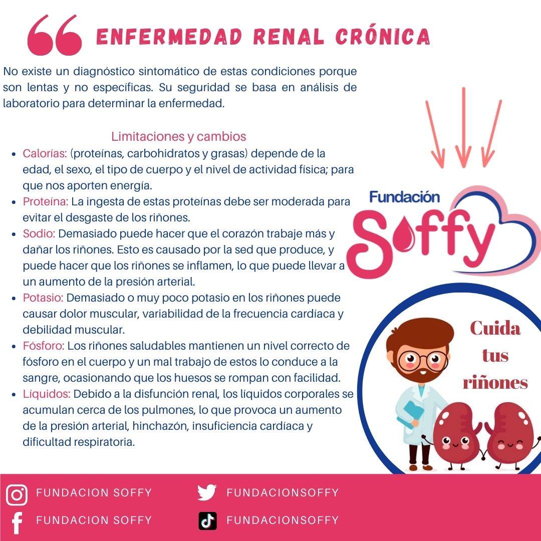 Fundación SOFFY - ¿Sabias Que? 🧐 El día de hoy te... | Facebook