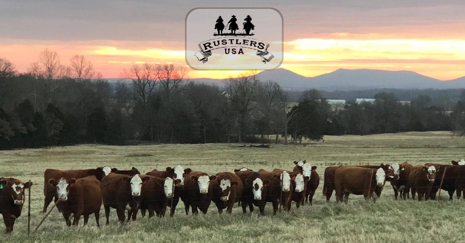 Rustlers USA