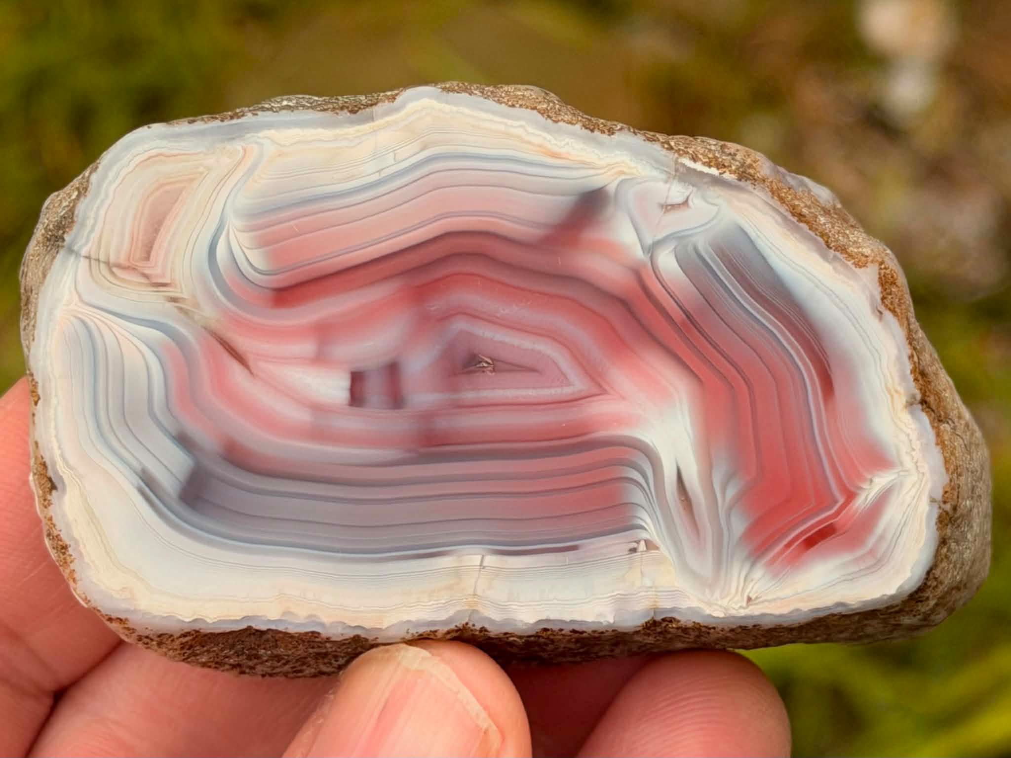 Australian Agate Collectors | Facebook