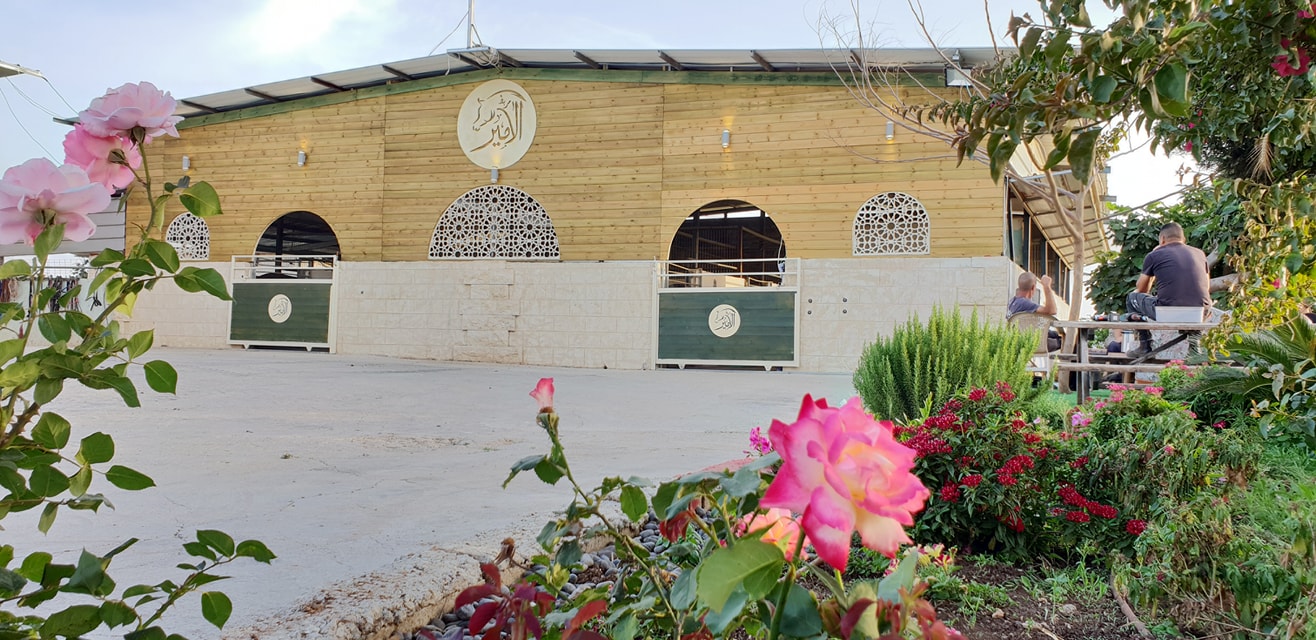 Alamer stud - مربط الامير