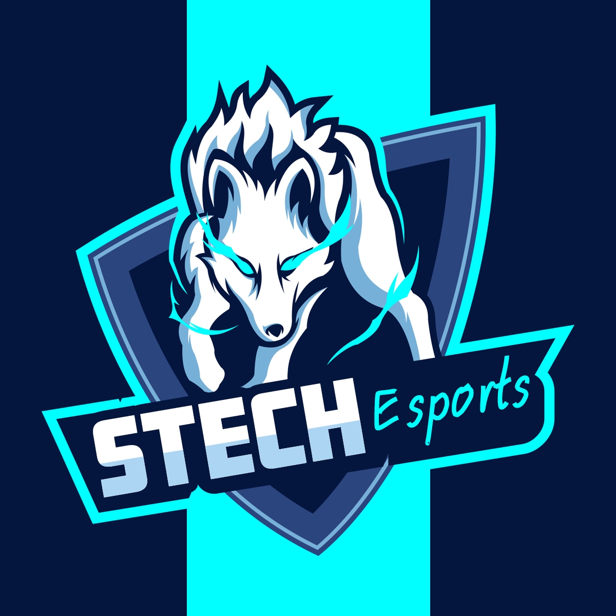 S-Tech Esports