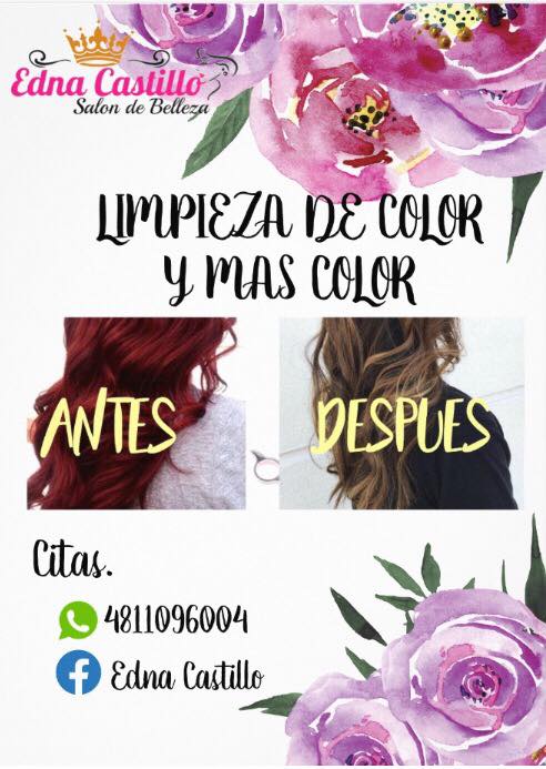 Tintes,Color Y Limpiezas De Color Y Mas Color | Ciudad Valles