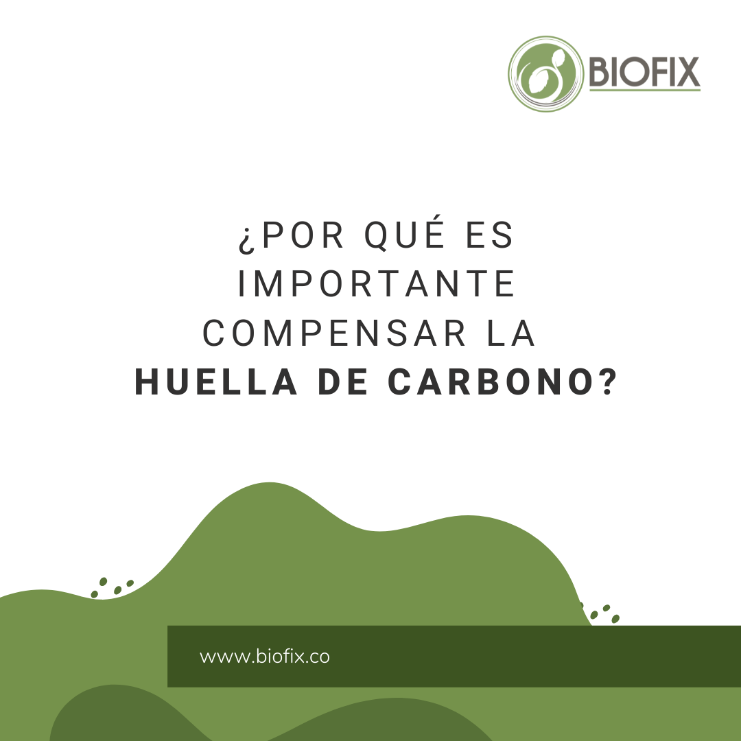 Biofix - 👉🏼 ¿Por qué es importante compensar tu huella de...