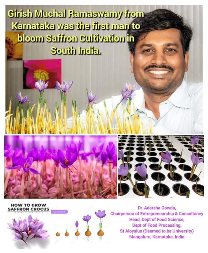 HAVE YOU EVER HEARD OF SAFFRON?? *Girish Muchal Ramaswamy from ...