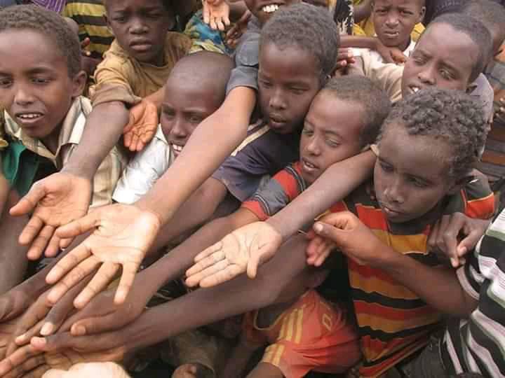 Orphans Or Parentless PNG