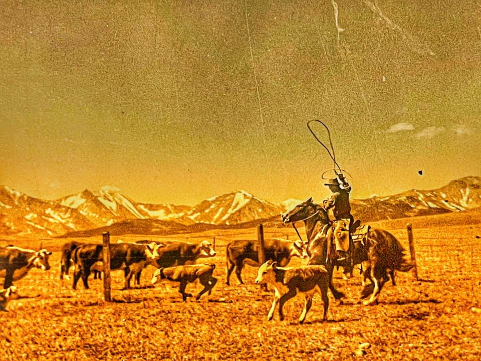 My dad, Robert White, as a young cowboy on the ZX Ranch, in