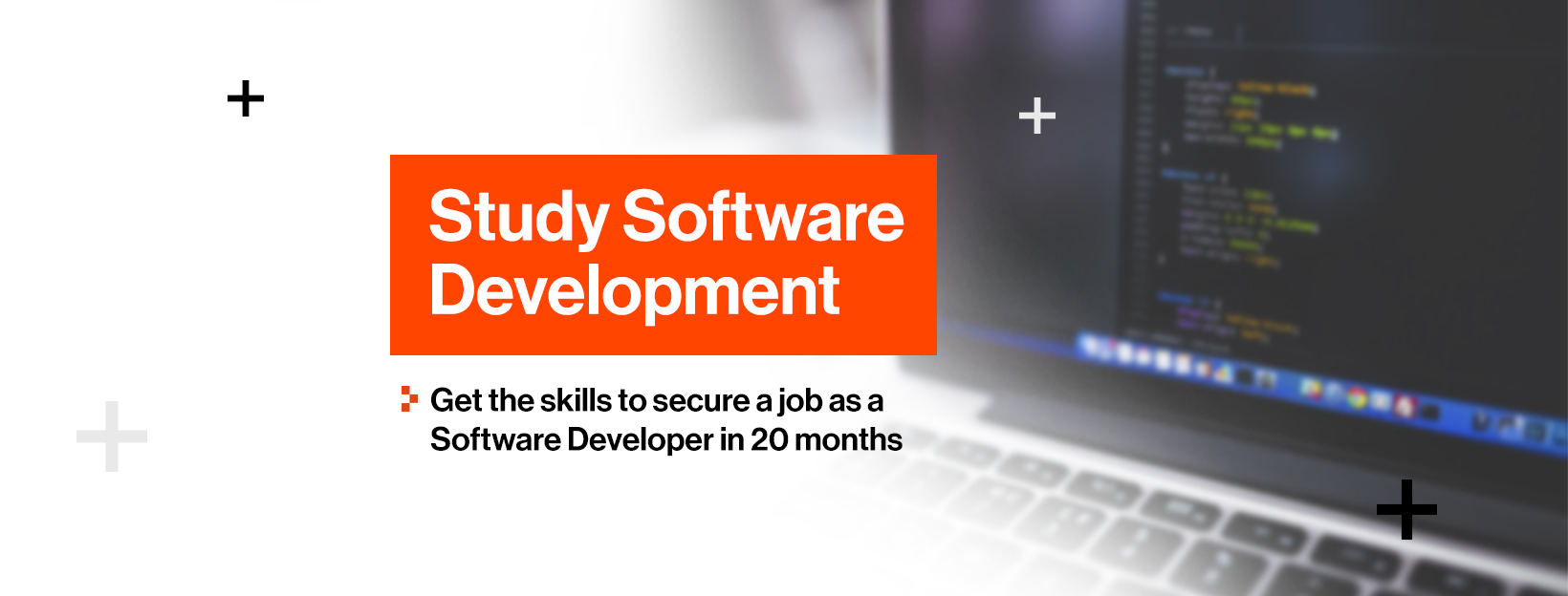 Developers Institute | Whangarei