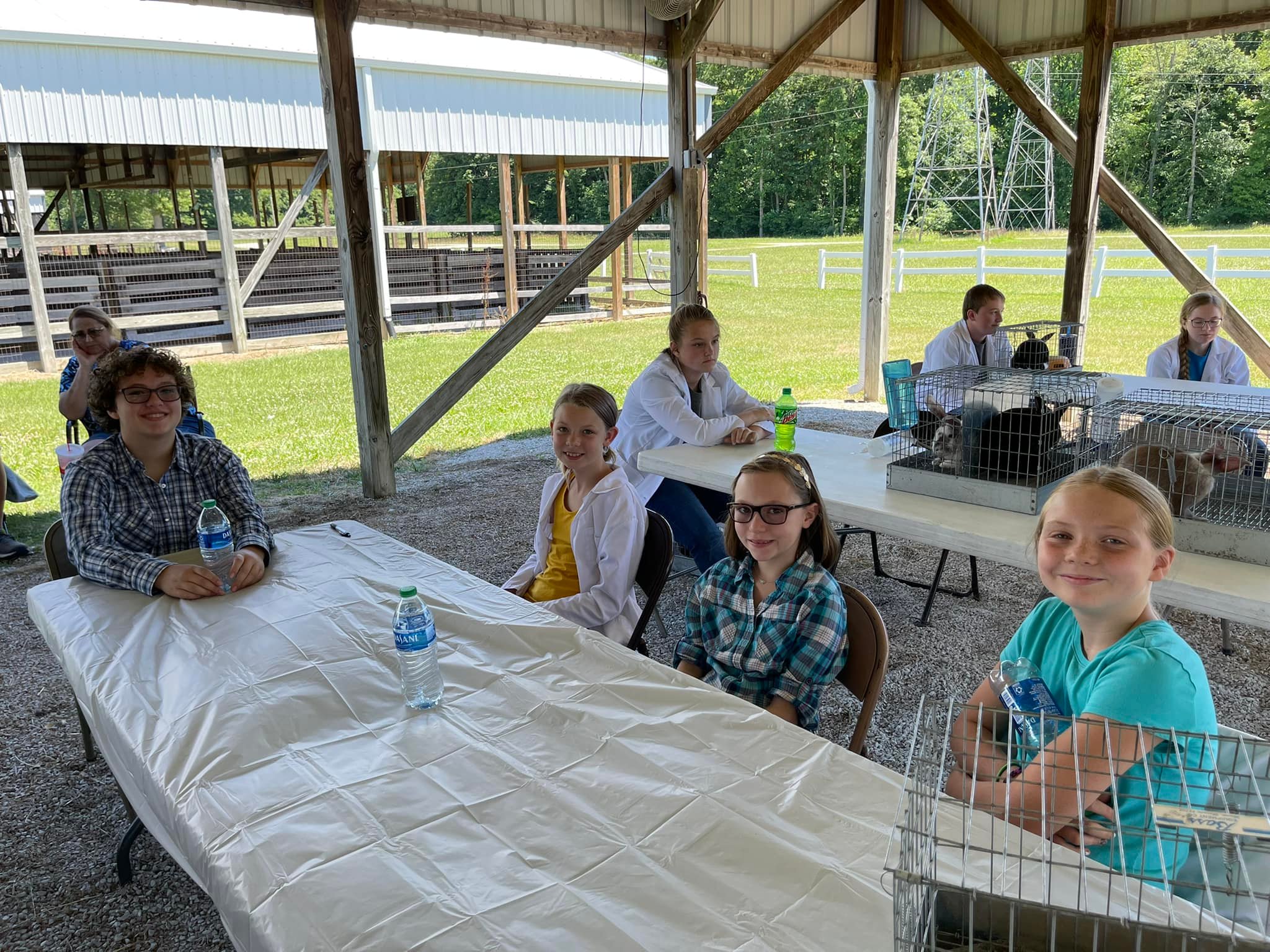 Clay County 4-H - The Rabbit Ambassador Contest was this... | Facebook