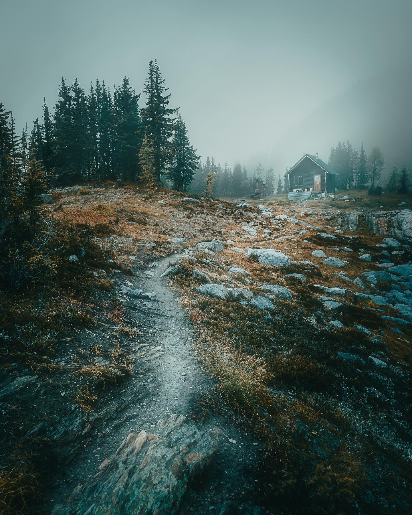 Stranded Man Photography