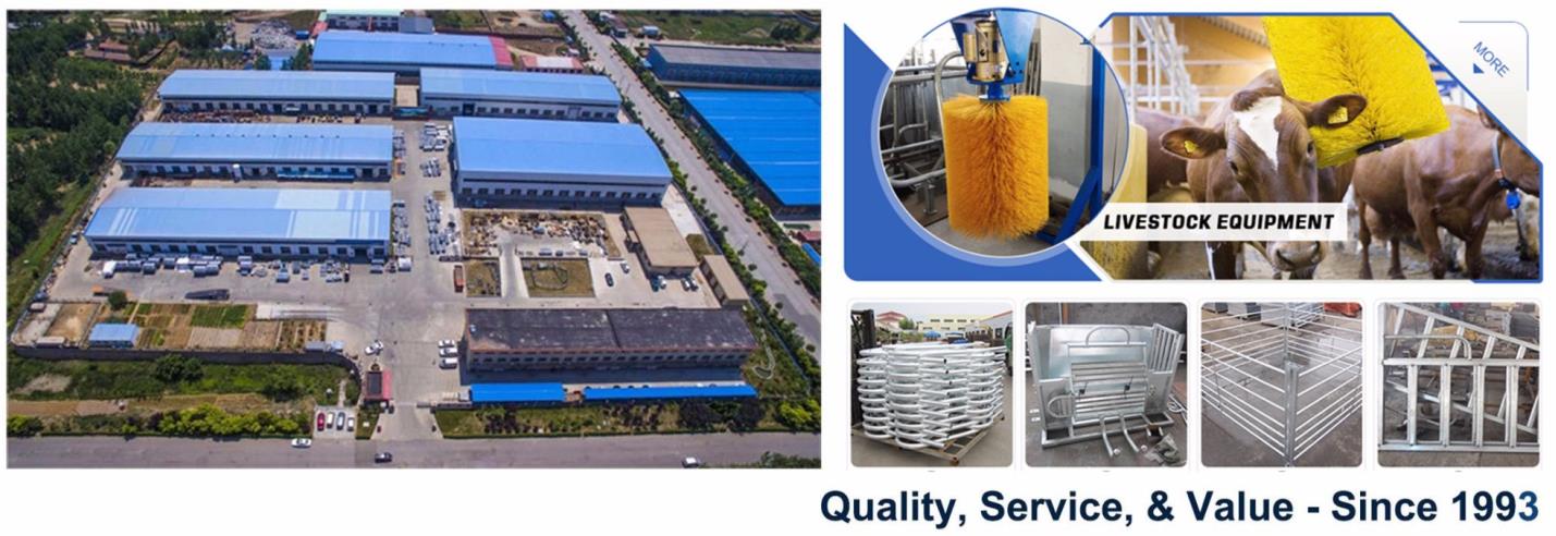 Qingdao Haylite Machinery Co., Ltd | Jimo