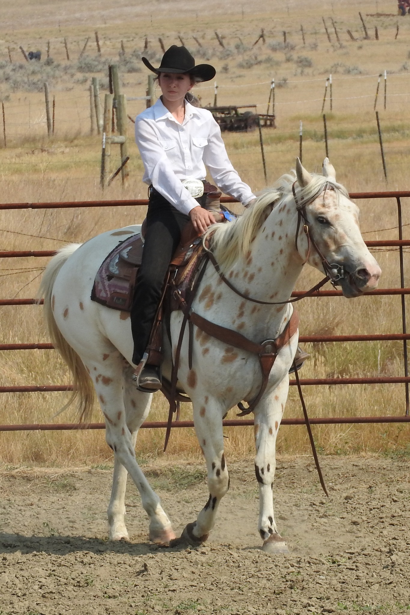 Roundup Ridge Riders added a new photo. - Roundup Ridge Riders