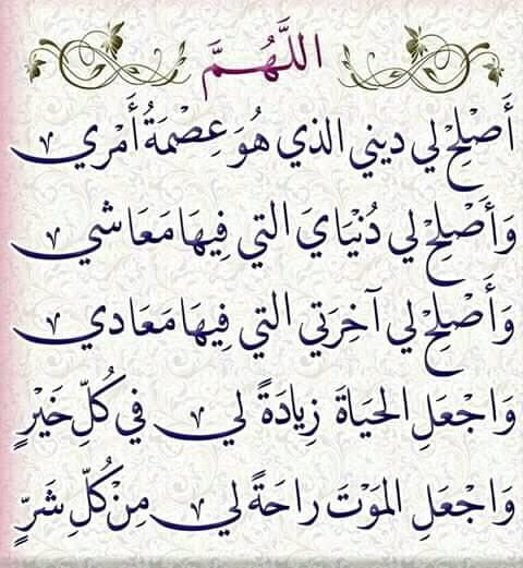 أهل الجنة - كل ما نراه من دعوات إلى الضلال والإلحاد والطعن فى القرآن ...