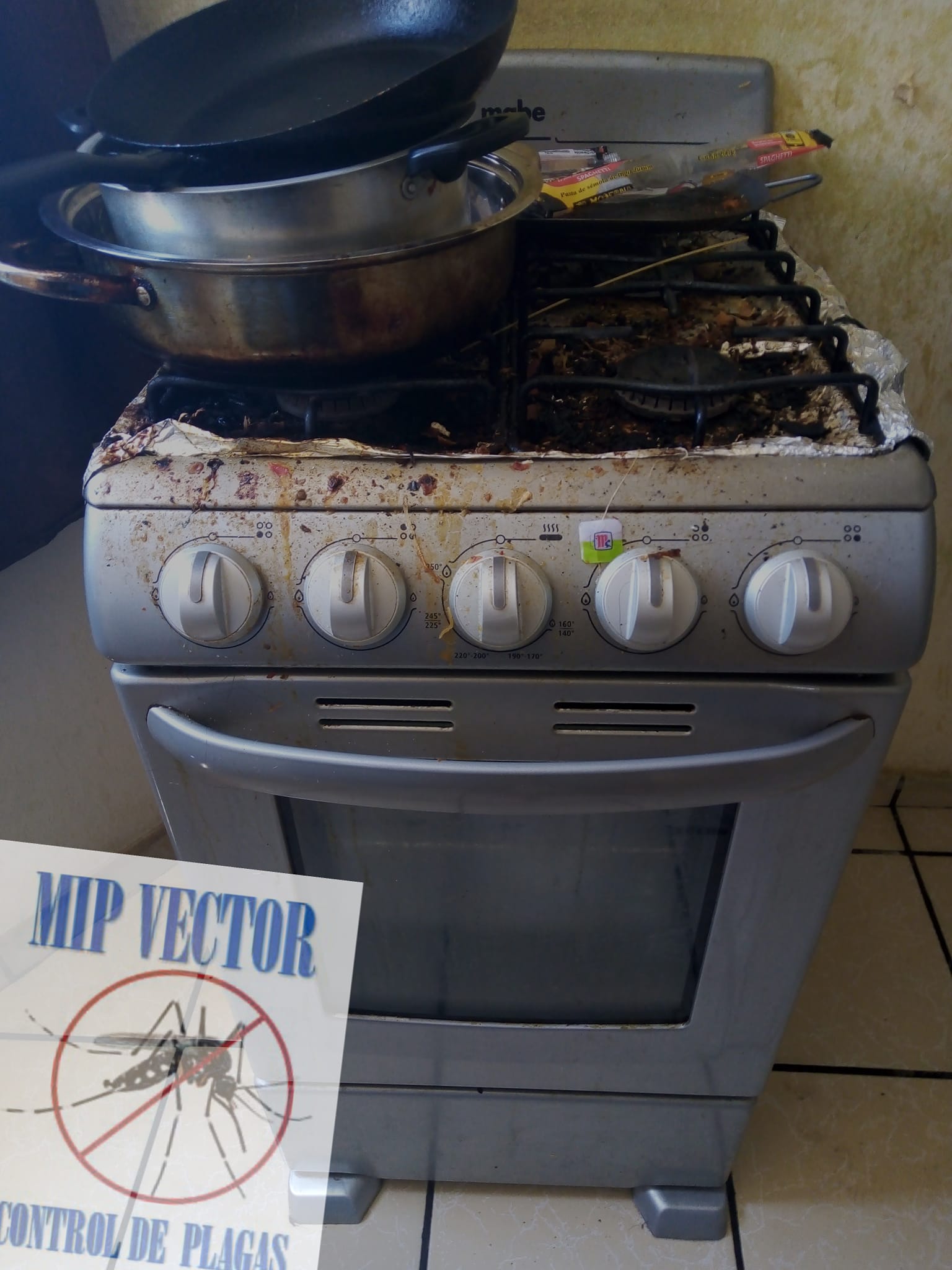 ¿Qué podemos hacer para... - MIP Vector Control de Plagas
