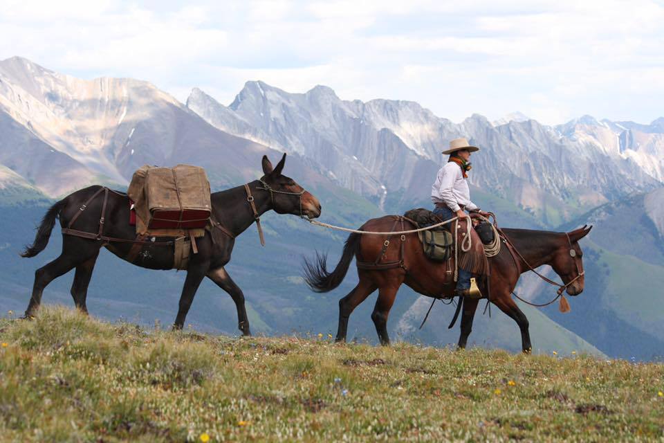 Rocky Mountain Mule & Saddle Co.