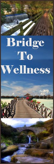 Bridge To Wellness